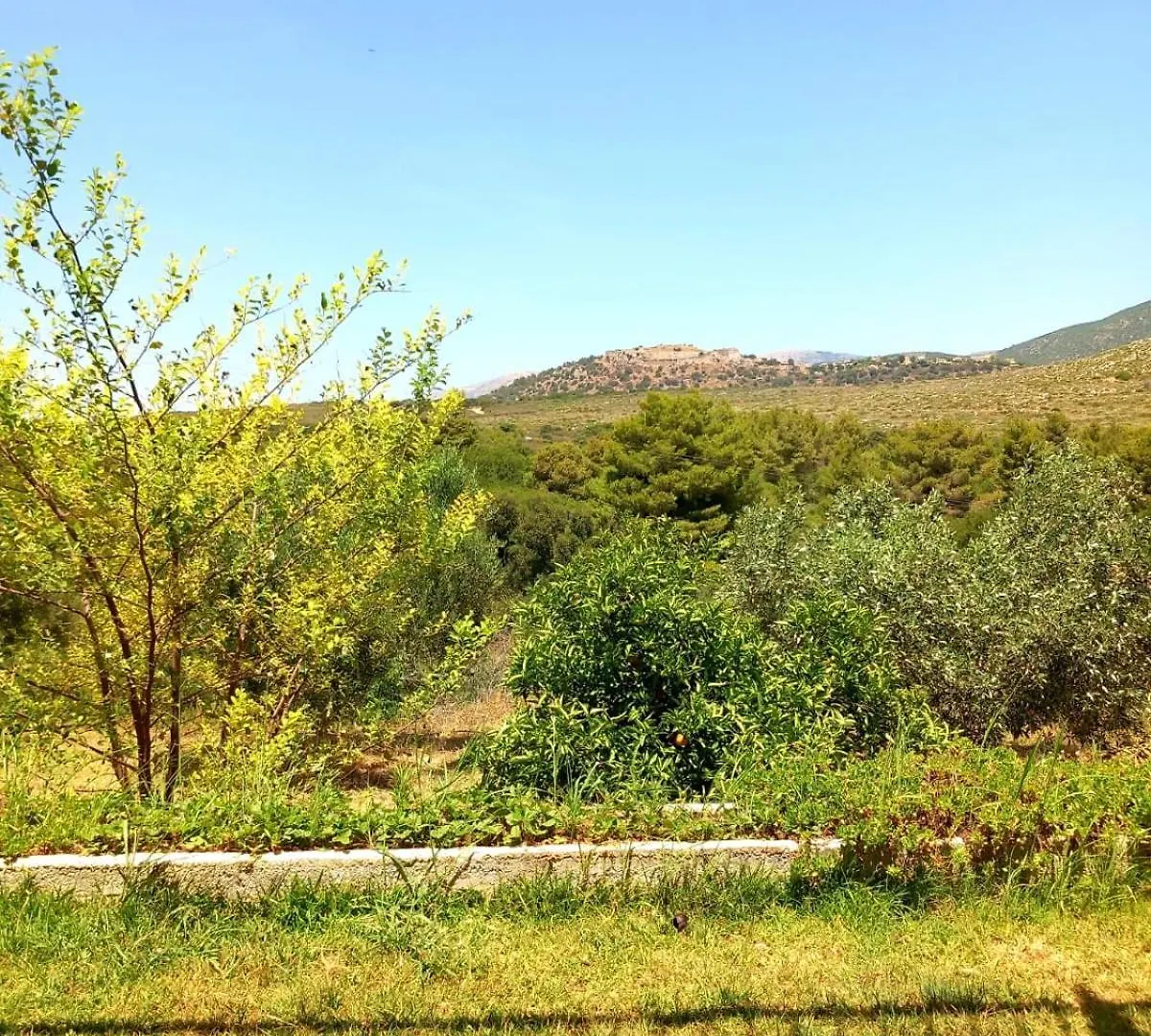 4T Apartments Argostoli  0*, Argostoli (Kefalonia)